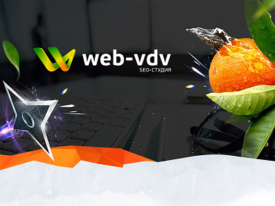 Logo for the studio SEO optimization "Web-VDV.ru"