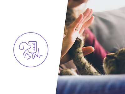 Imagery for Criticare Brand brand branding cat dog identity line art logo logo design mark minimal modern pets photography simple vet