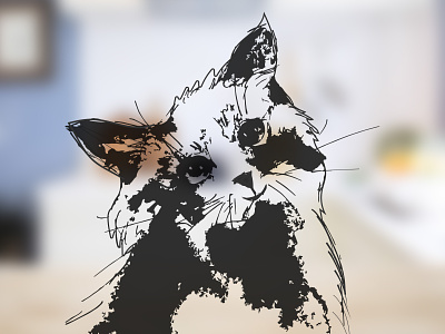 Cat Illustration cat cat background cat illustration cat is love cat lover catlogo cats graphic design illustration logo