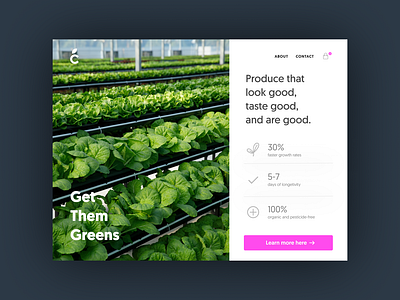 Urban Farm Landing Page