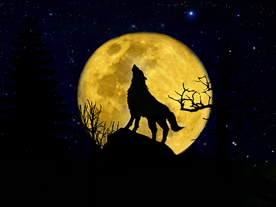 Photoshop edits - wolf howling at the moon design design art illustration photoshop