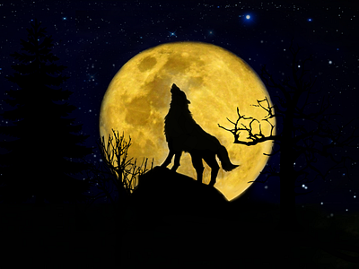 Photoshop edits - wolf howling at the moon