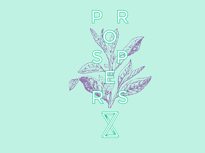 Prospers brand branding identity logo
