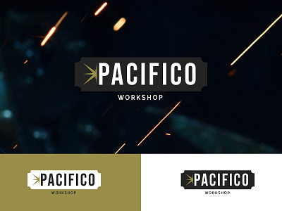 Pacifico workshop