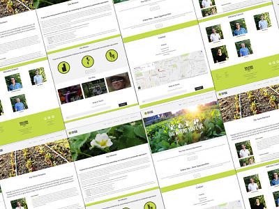 Web Pages, Raleigh City Farm brand design mobile friendly responsive web