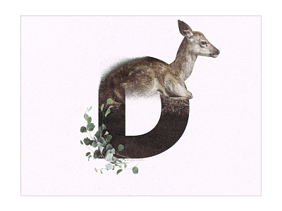 D /// Deer design font graphic design text type typography