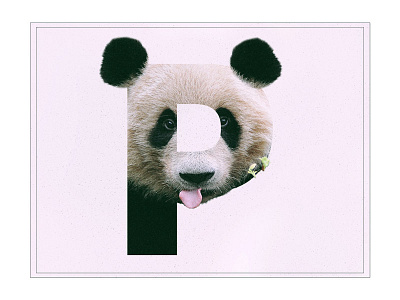 P /// Panda