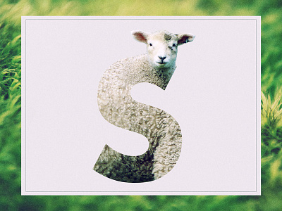 S /// Sheep alphabet animal graphic design lamb letter sheep typography