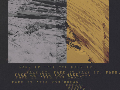 005. /// Fake it til you make it or break art design graphic typography