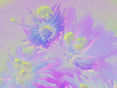 Calendula inverted wallpaper calendula flower freebies pastel photomanipulation purple wallpaper watercolor
