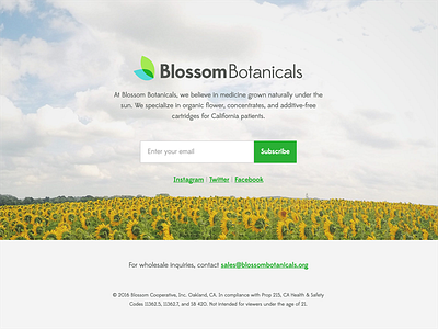 Blossom First Splash Page css email form html landing page splash page web design