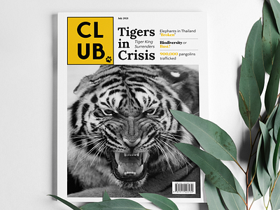 CLUB Magazine Cover animal animals brand branding concept design literate logo magazine mockup print print design tiger