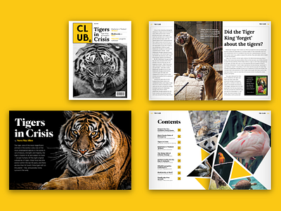 CLUB Magazine Concept animal article branding club concept design magazine mockup page spread story tiger tiger king yellow zine