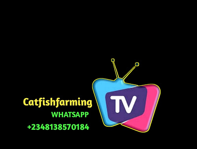 Whatsapp TV Logo africa behance branding graphic design graphics designer illustration logo design template