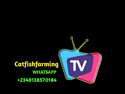 Whatsapp TV Logo