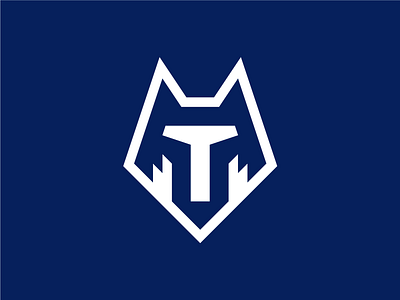 FC Tambov design football football logo logo logo design pattern pentagon q10 soccer sport sports sports branding sports design sports identity sports logo wolf