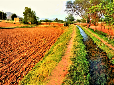 Calm UR Eye's with Greenery