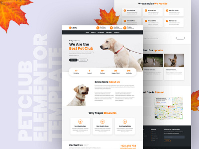 Petclub Elementor Template Design elementor elementor pro psd to wordpress shuvosarker typography web design webdesign webdevelopment wordpress wordpress design