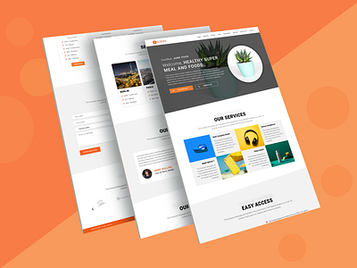 Responsive and Modern WordPress Agency Website