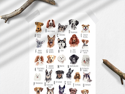 Watercolor dog breeds - Dog Lover Graphics. Alphabet Print abc alphabet animal animal art art print character character design dog friendly hand painted illustrated illustration pet pet portrait poster puppy sketch sketchbook surface design watercolor animal