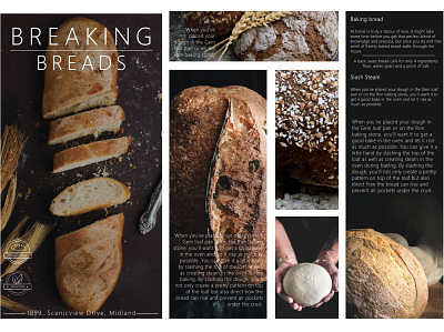 Catalog Design: Breaking Bread app branding design flat icon illustration logo typography vector website