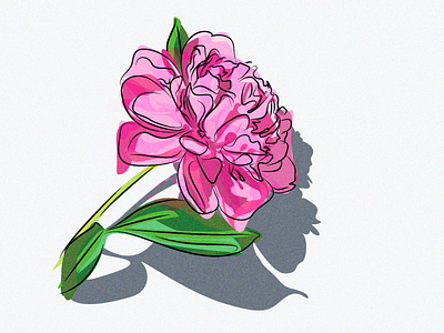 Vector Design: Flower Illustration