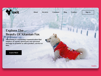 Foxit Landing Page Sample landing page ui design web design website