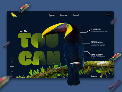 Toucan Bird (Birds Org Page) bird design figma graphic design landing page product page toucan ui ui design uidesign web design website