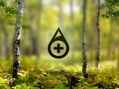New Summits Travel Logo geo green mountain plus seth jenks trees
