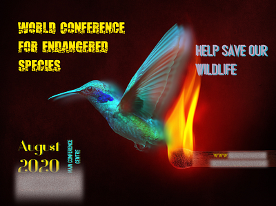 Wildlife Conference flyer flyer design invitation
