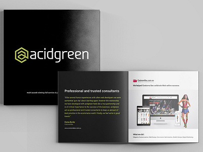 acidgreen promo-book booklet branding concept branding design creative director digital agency e commerce agency graphic design print design promo book