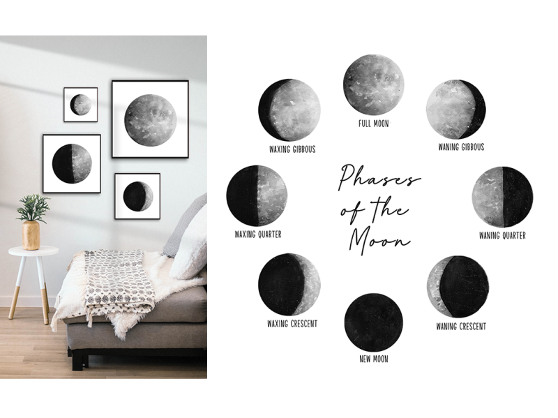 Phases Of The Moon Wall Art By Eleonora On Dribbble