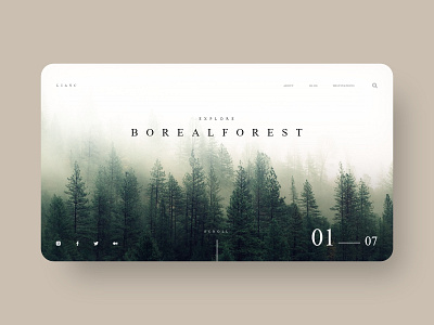 FOREST. design ui website