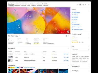 DAM Platform - Asset Detailed Information Concept concept content management dam dashboard design detailed information detailed views digital asset digital asset management experiment management product design ui