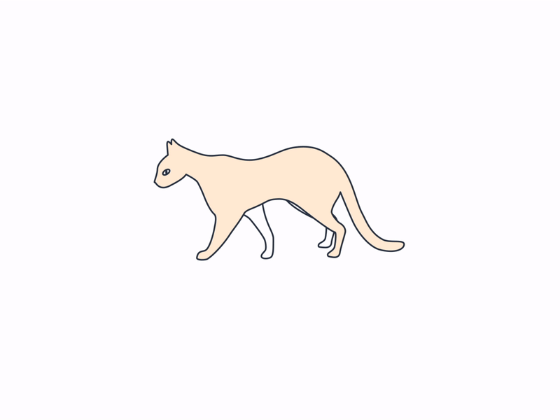 White cat walk animation character animation characterdesign illustration
