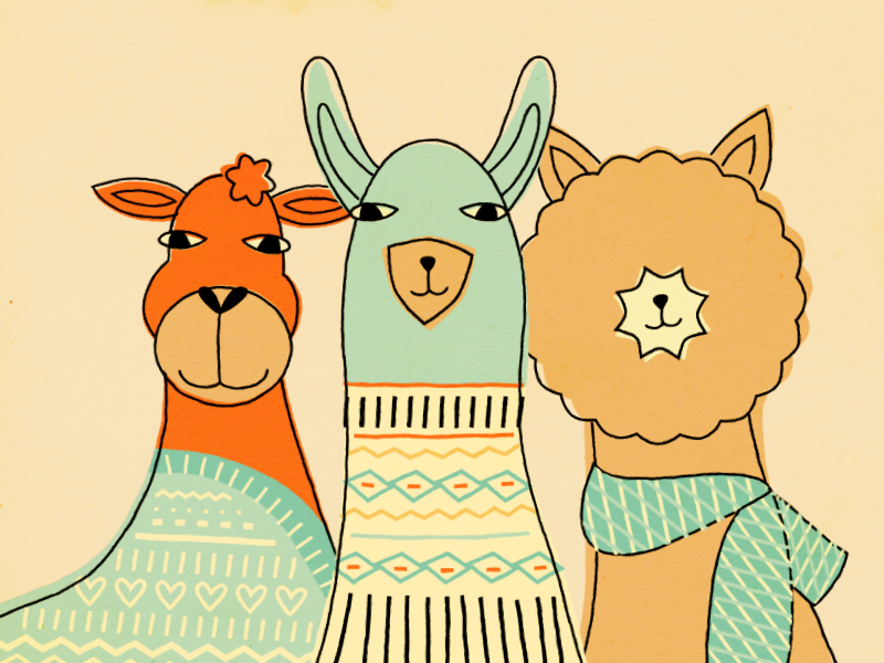 camelids in knits by Erika Bernetich on Dribbble