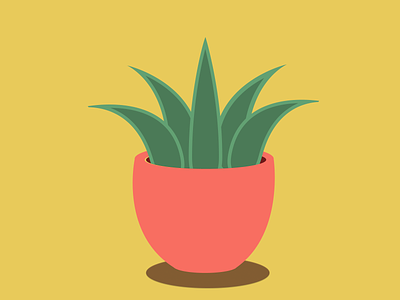 Perfect Plant first post illustration