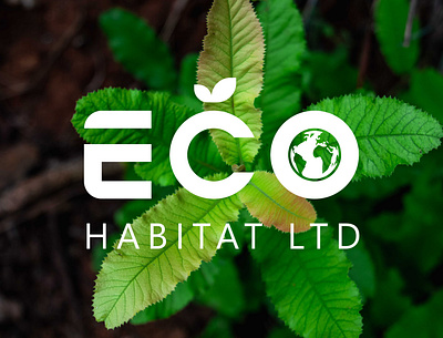 Echo Habitat Ltd branding company eco graphic design habitat logo ltd