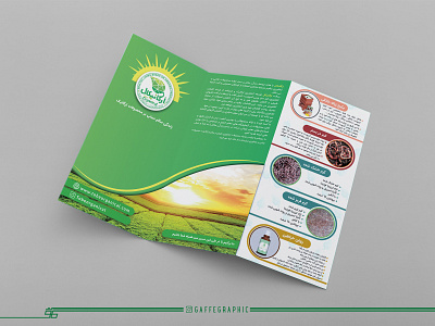 Brochure Design branding brochure brochuredesign corporate identity corporateidentity design graphic design graphic designer graphist illustration logo stationary set ui visual branding visual identity visualidentity