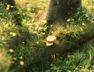 Magic Hour 3d art b3d blender blender3d design forest illustration mushroom tree