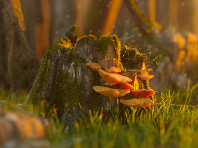 Tiny Village 3d art b3d blender blender3d design fairy house illustration magic mushroom