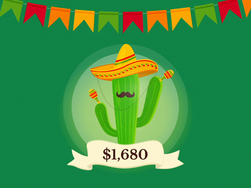 Mexican Cactus animation app cactus illustration vector win