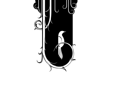 Bird bird black illustration typography