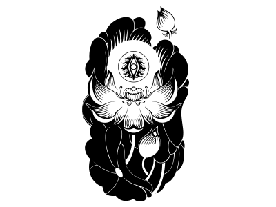 lotus black cards design illustration plant