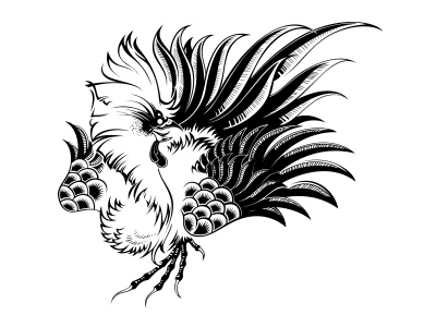 Rooster animal black design illustration plant rooster typography