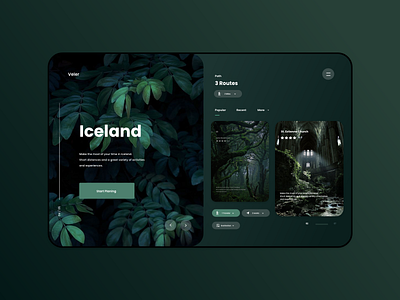 Travel Site | App Design app app design design travel ui