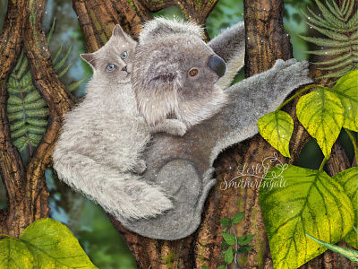 Kirsty the Koala rescues Milo adobe photoshop animal illustration art licensing australian rainforest childrens book illustration digital illustration illustration koala ragdoll cat