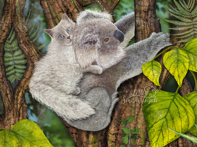 Kirsty the Koala rescues Milo