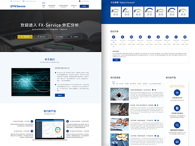 Forex Service Chinese Web Design UX/UI
