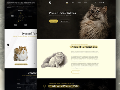 Persian Cats & Kittens animal cat creative kittens landing page persian professional skill ui ux web website